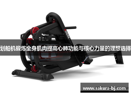 划船机锻炼全身肌肉提高心肺功能与核心力量的理想选择
