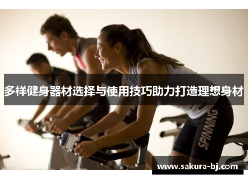 多样健身器材选择与使用技巧助力打造理想身材
