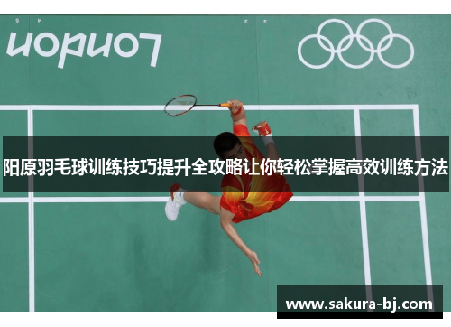 阳原羽毛球训练技巧提升全攻略让你轻松掌握高效训练方法