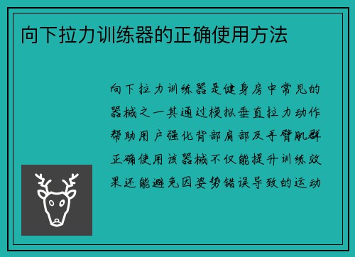 向下拉力训练器的正确使用方法