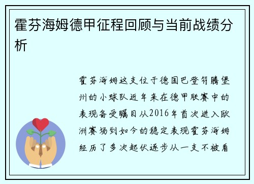 霍芬海姆德甲征程回顾与当前战绩分析